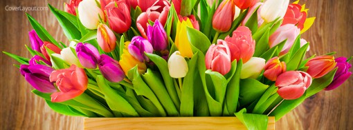 fresh_tulip_basket_spring_tn